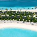 Joy Island Maldives by Cocoon Collection