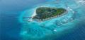 Taj Coral Reef Resort & Spa