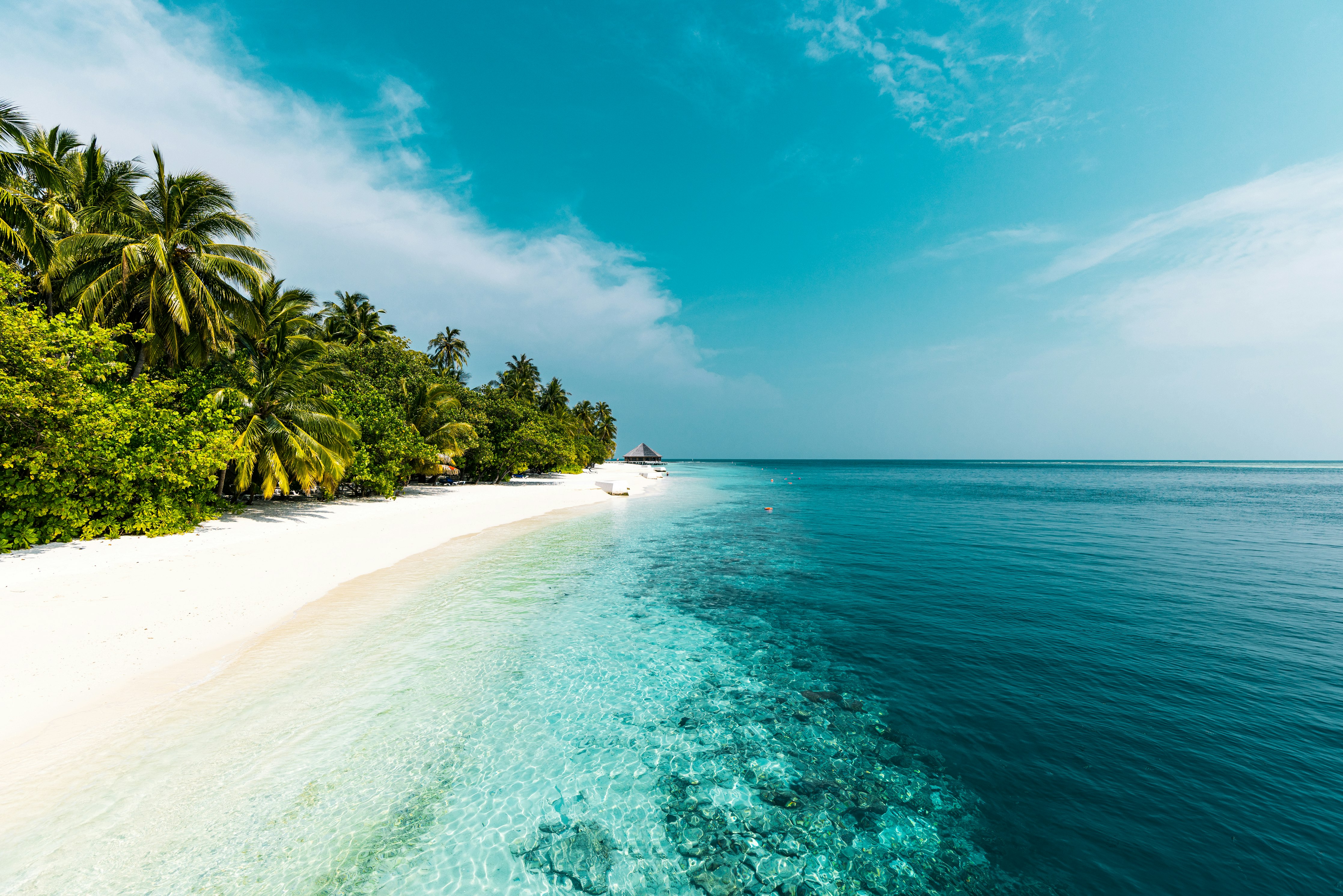 Maldives beach with turquoise water under clear skies