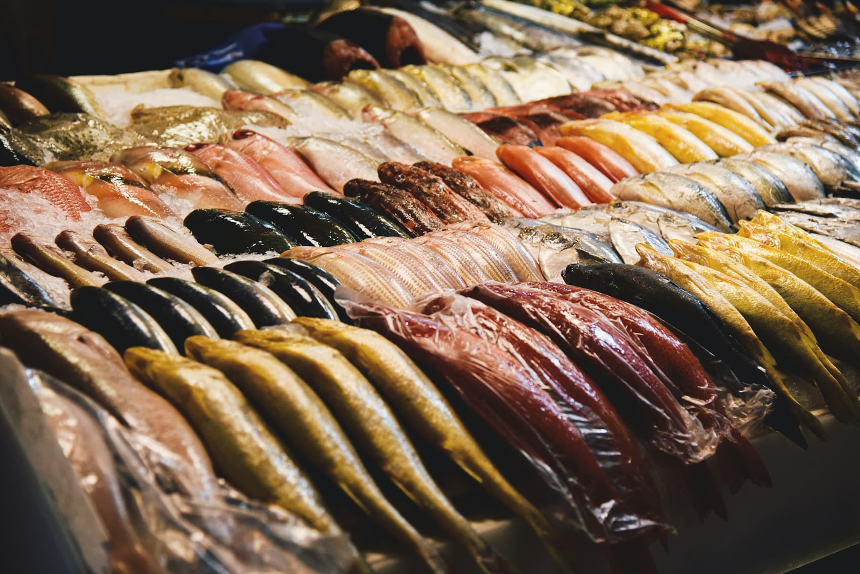 Rows of fresh fish on display at a market