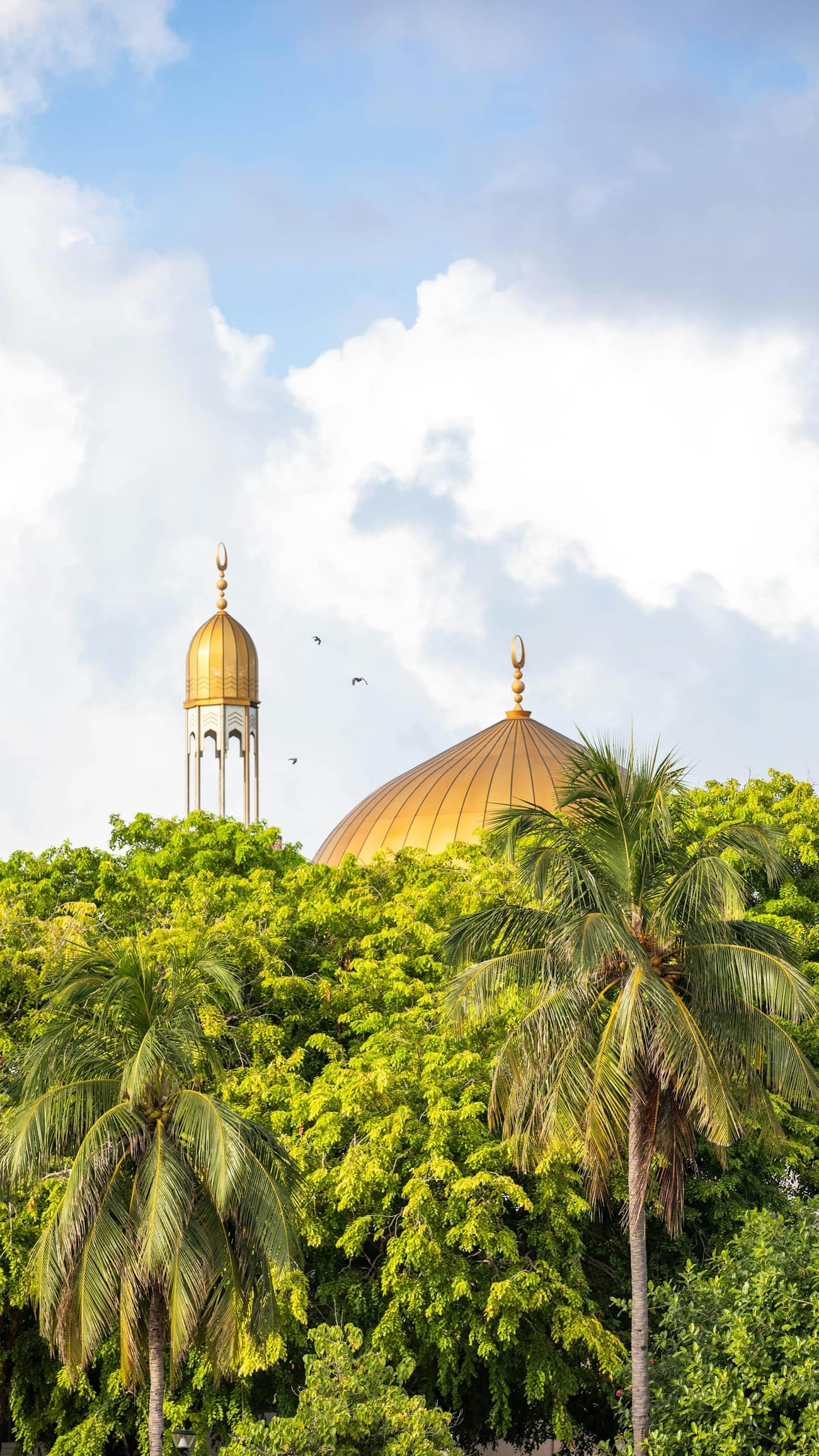 A golden mosque dome and minaret rising above palm trees in the Maldives