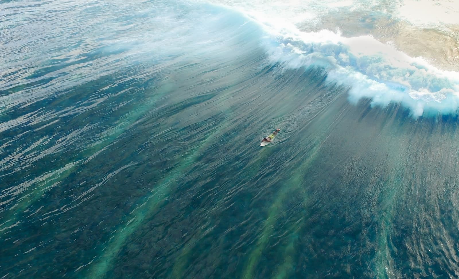 A surfer dropping into a clean reef wave over turquoise water in the Maldives
