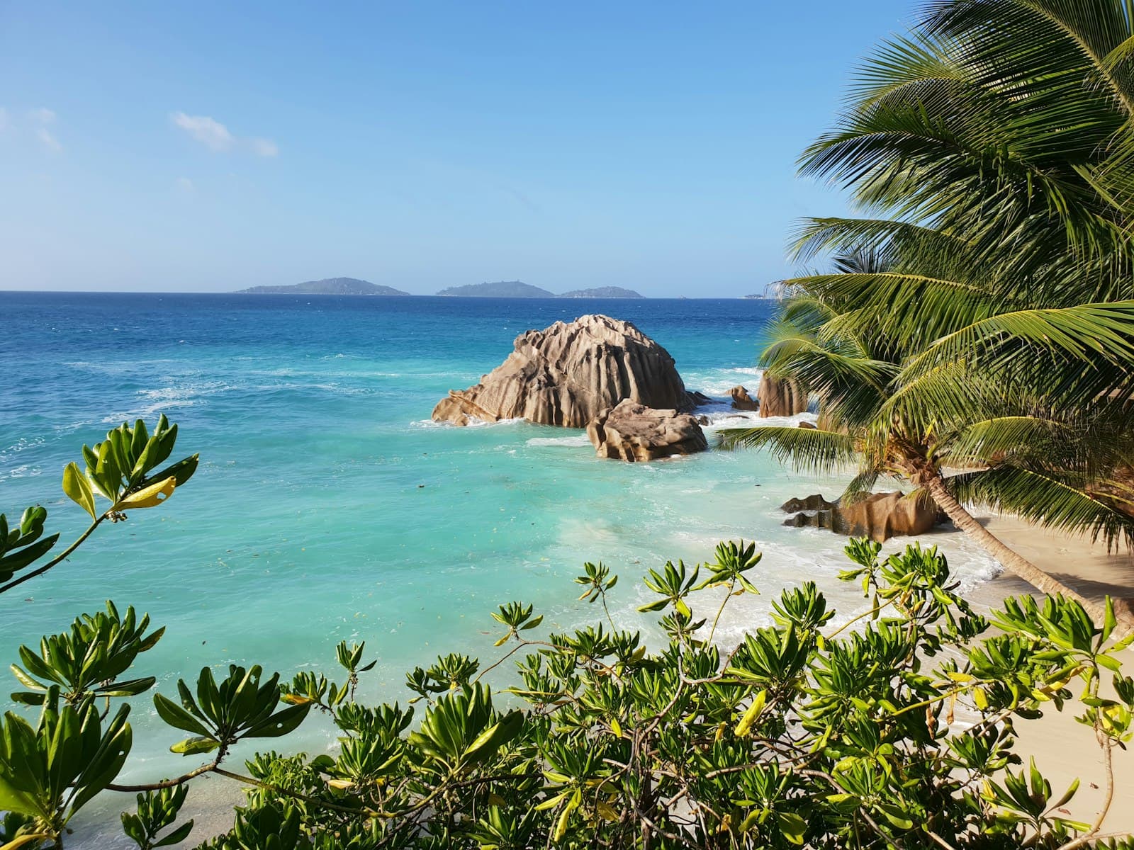 A Seychelles beach with sculpted granite boulders, turquoise water and palm trees