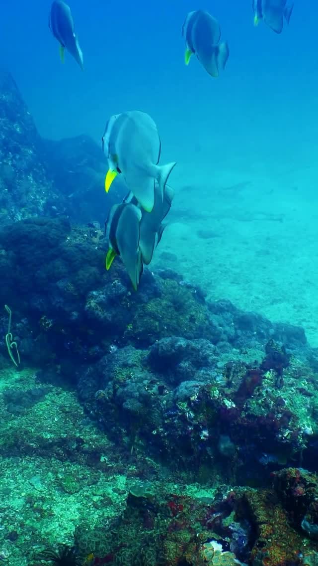 Across the places we call home, the ocean shapes daily life, supports communities, and reminds us of the care each coastline requires. This World Oceans Day, Aitken Spence Hotels celebrate the choices