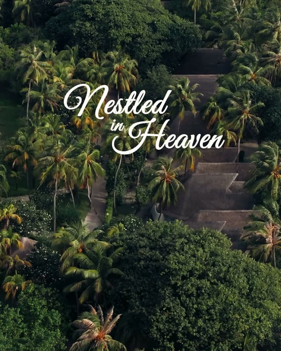 Nestled in heaven, surrounded by nature.

At Adaaran Select Hudhuran Fushi, lush greenery, swaying palms, and winding island paths create a tropical escape where every moment feels connected to the be