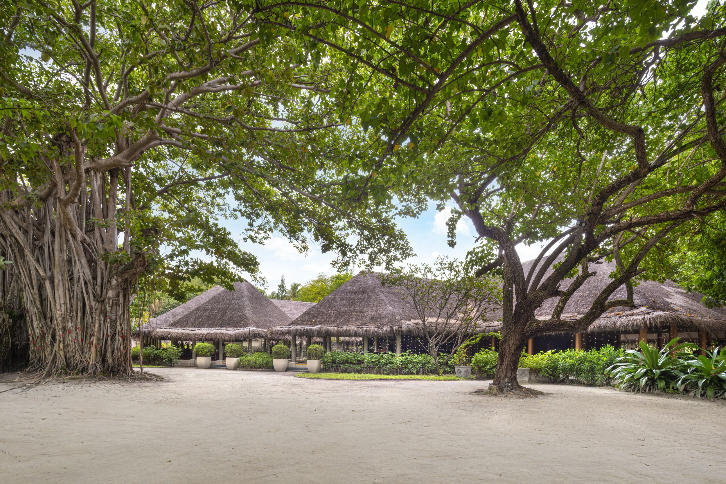 Banyan Restaurant restaurant