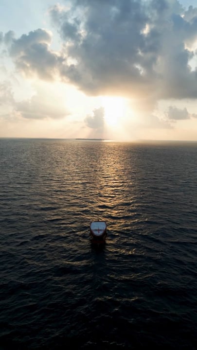 Choose your horizon.

Sail into sunset, follow dolphins across the blue, drift above vibrant reefs, or step ashore on a secluded sandbank.

Where will the day take you?

#alilakothaifarumaldives #alil
