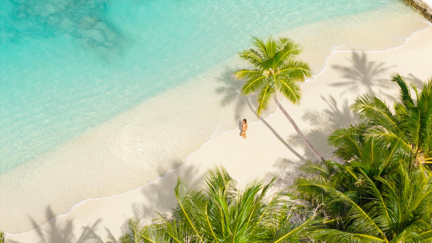 Là où les palmiers rencontrent la mer turquoise

#alimatha #alimathamaldives #nakaialimatha #nakairesorts #maldives #visitmaldives #islandlife #resortsofmaldives #IslandVibes #TurquoiseWaters #BarefootEscape