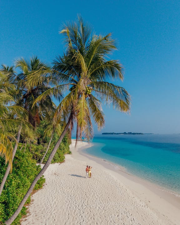 Photo by Amilla Maldives on April 28, 2026. May be an image of beach, ocean, palm trees, water and text.