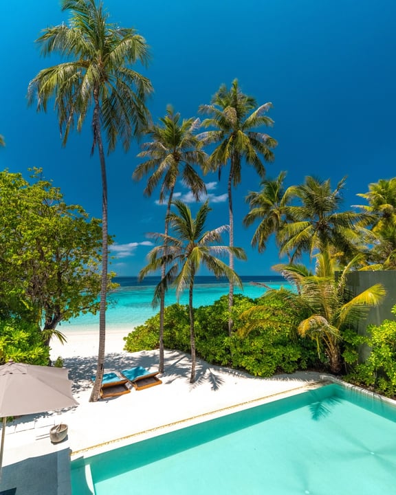 Foto von Amilla Maldives vom 17. Juli 2026. Könnte ein Bild von Liegestuhl, Pool, Horizont, Palmen, Cabana und Text sein.