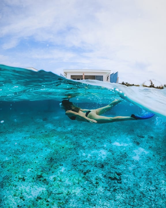 Photo by Amilla Maldives on August 08, 2026. May be an image of swimming, snorkel, pool and text.