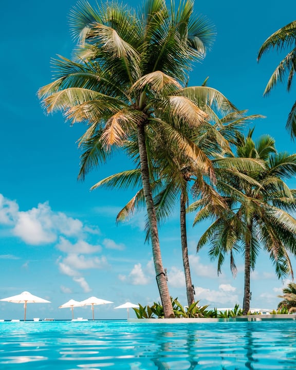 Foto von Amilla Maldives vom 02. September 2026. Zeigt möglicherweise Pool, Palmen und Text.