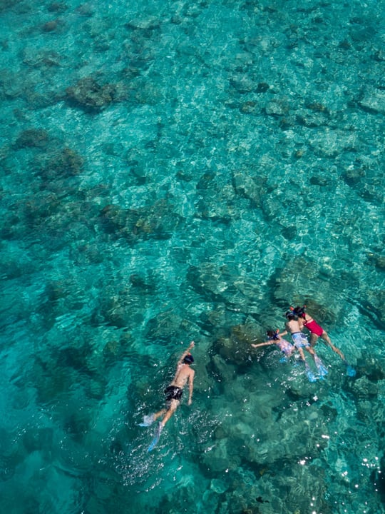 Photo by Anantara Dhigu Maldives Resort on June 12, 2026. May be an image of swimming, snorkel, body of water and text.