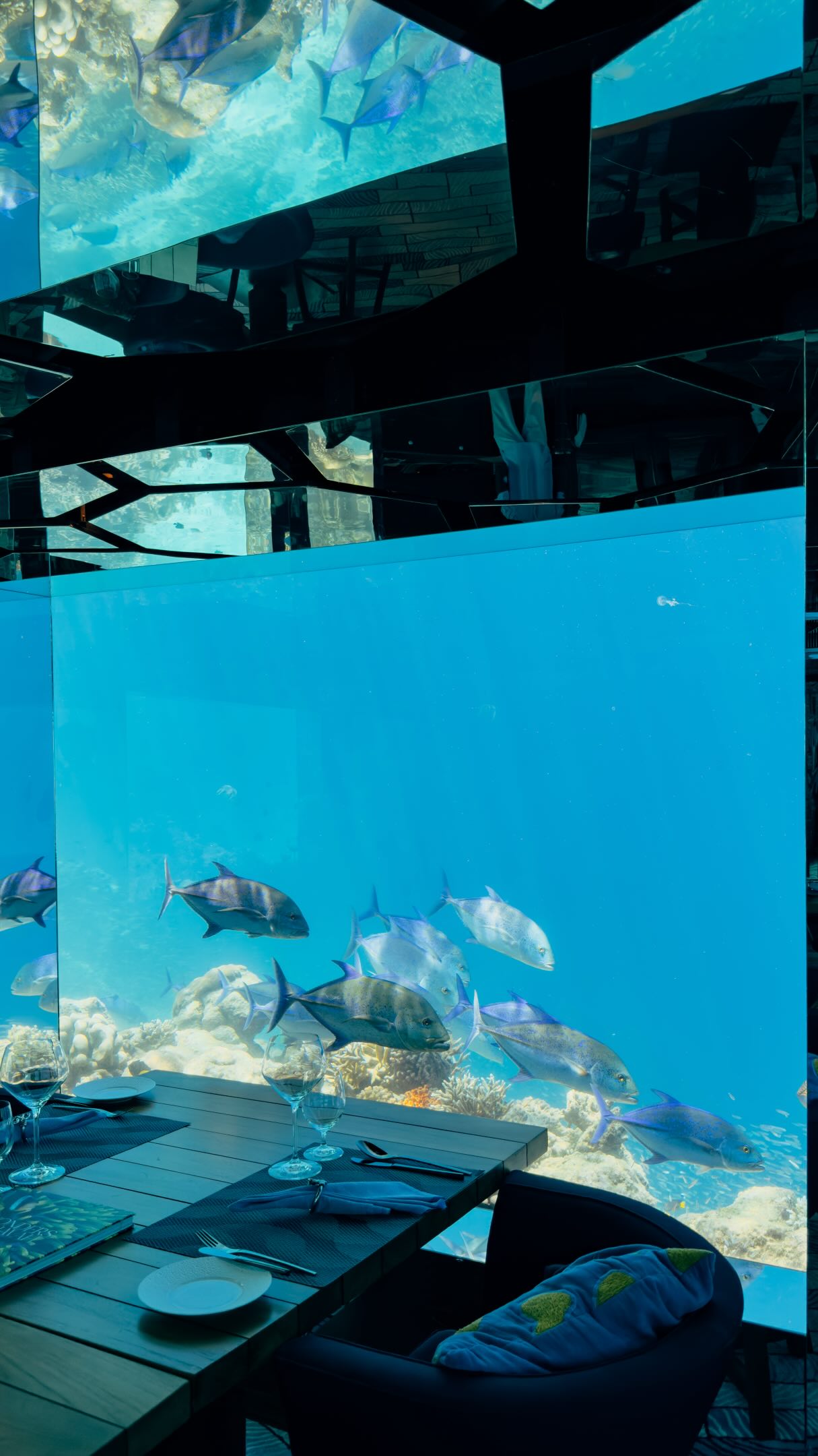Unter den sanften Wellen rund um SEA entfaltet sich ein lebendiges Riff in einem Kaleidoskop aus Farben und Leben. Schwärme tropischer Fische ziehen durch prächtige Korallen und schaffen ein faszinierendes Unterwasserschauspi
