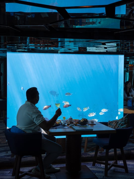 Sous la surface, un monde de merveilles vous attend. Chez SEA, une cuisine exquise rencontre la beauté envoûtante du récif maldivien, créant une expérience où chaque plat s'accompagne du rythme de l