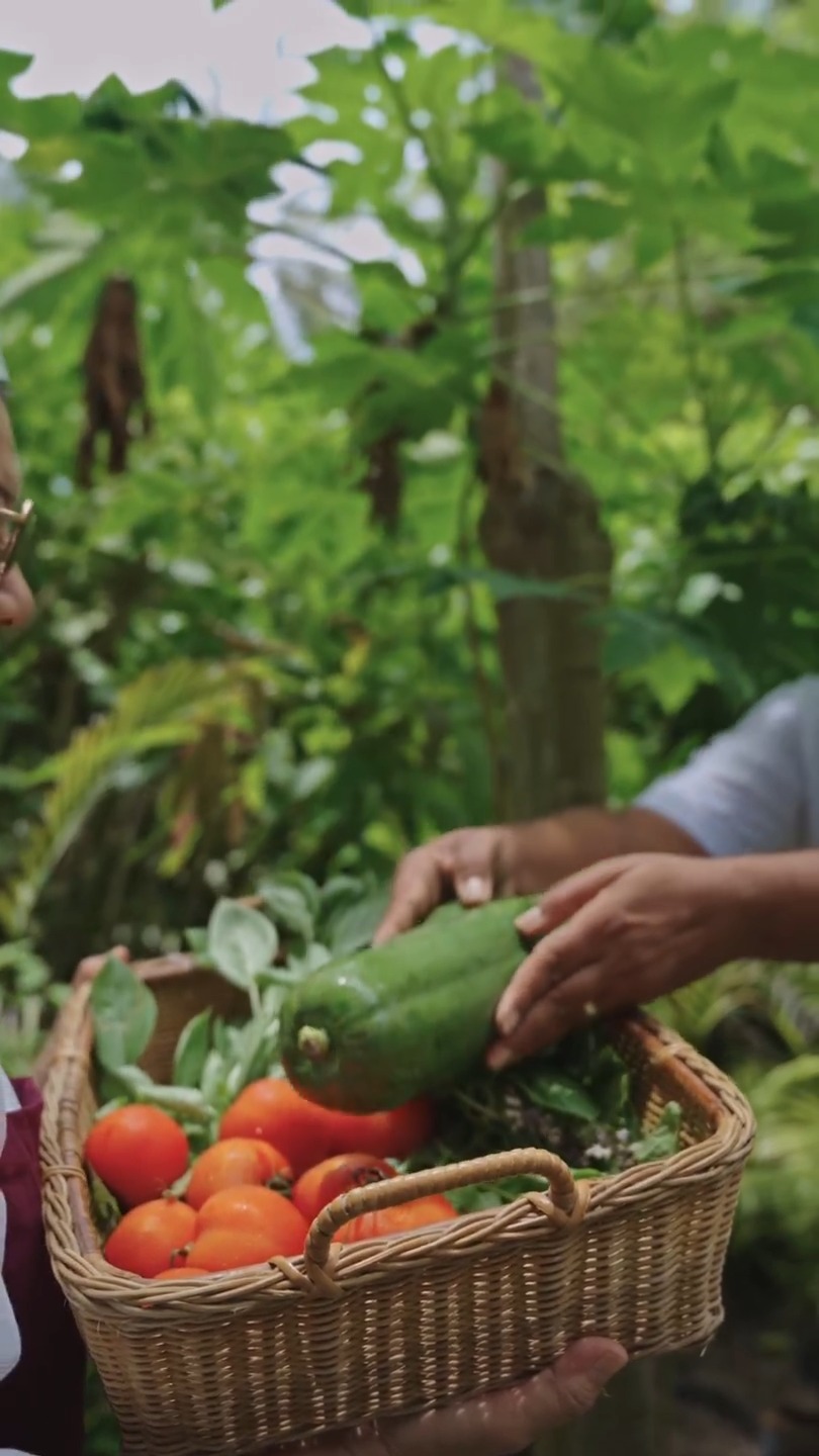 Du jardin à l'assiette🌿

Notre Chef's Garden est l'endroit où les ingrédients frais rencontrent la tradition culinaire thaïlandaise — cueillis à leur apogée, puis transformés lors d'une expérience culinaire participative entourée des ingrédients mêmes