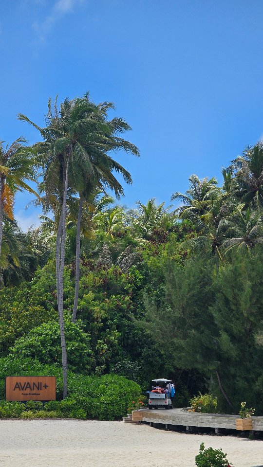 3 Maldives hotels, 3 completely different reasons to book them 🌊

If you think "Maldives" means one type of holiday — think again. I stayed at all three of these and they couldn't be more different.
