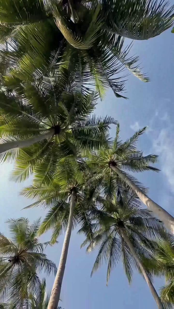 A little taste of island life.

POV: Fresh coconut, taken straight from the palm, the Indian Ocean in the background, and a taste of heritage that still lives within.

What would you choose? Fresh coc
