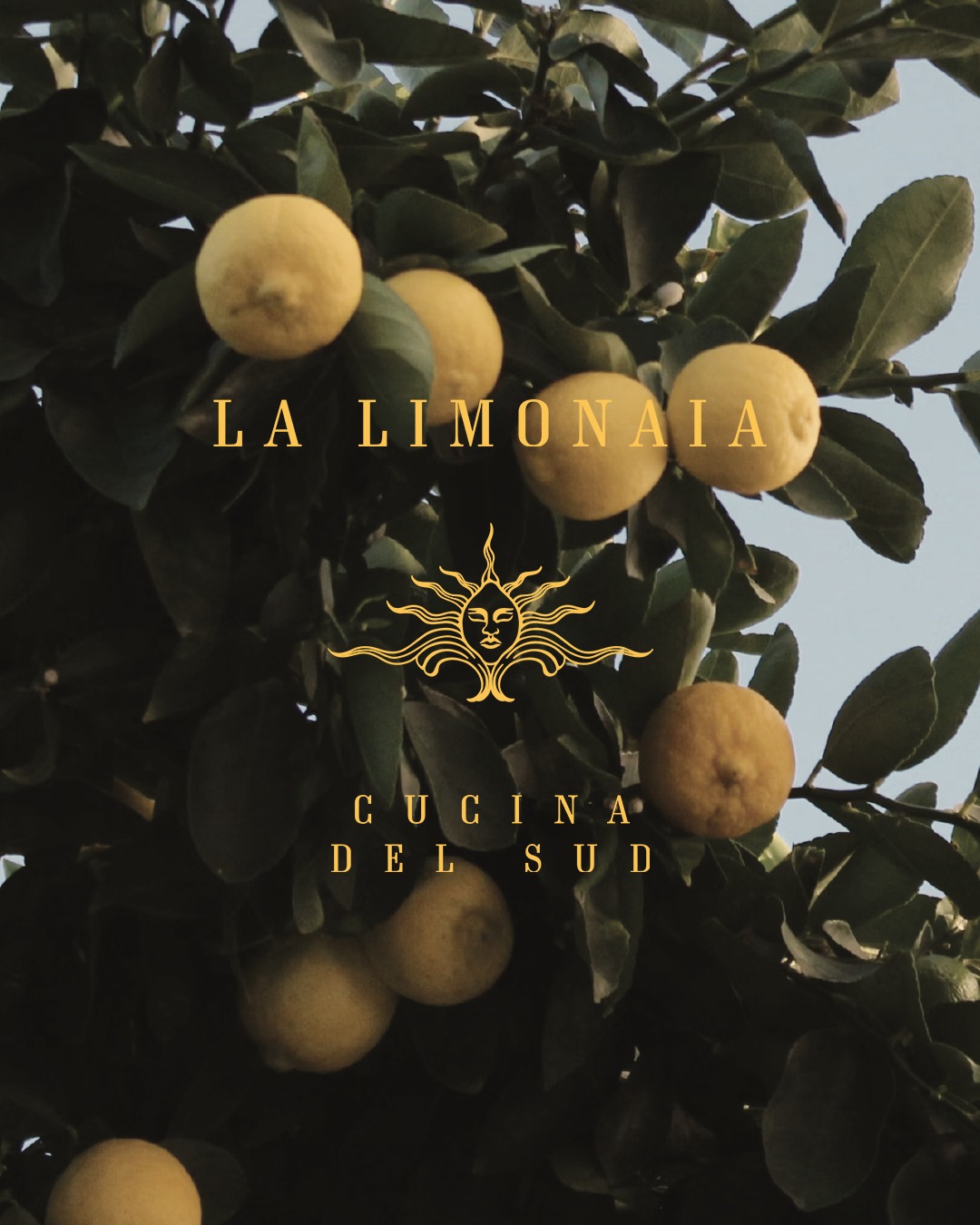Photo by Baglioni Maldives Luxury All-Inclusive on August 31, 2026. May be an image of mandarin, pomelo and text that says "LA LIMONAIA NAIA GUGINA DEL DELSUD SUD U".