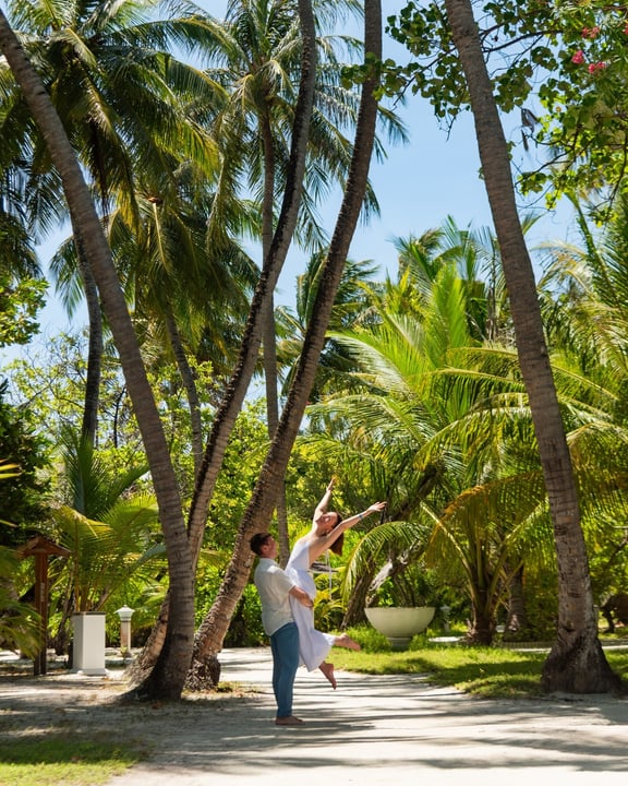 Foto von Bandos Maldives vom 20. Juli 2026. Könnte ein Bild von Palmen, im Freien und Text sein.