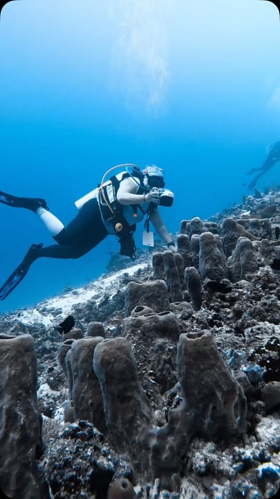 Congratulations on your 50th visit, Kate! #maldives #visitmaldives🐠🐟🐬🐳🐋🌴🌛🚣⛵🏄🏊🌊 #bandosmaldives