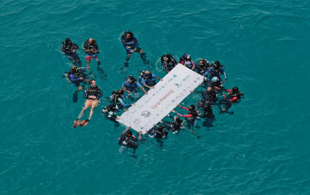 Photo by Banyan Tree Vabbinfaru - Maldives on May 15, 2026. May be an image of boat racing, swimming, whale, sailing boat, jet ski, wetsuit, raft and text.