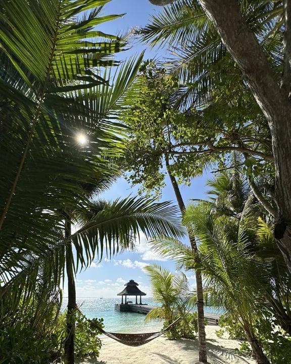 Foto von Baros Maldives vom 17. Juli 2026. Könnte ein Bild von Palmen, Cabana und Text sein.