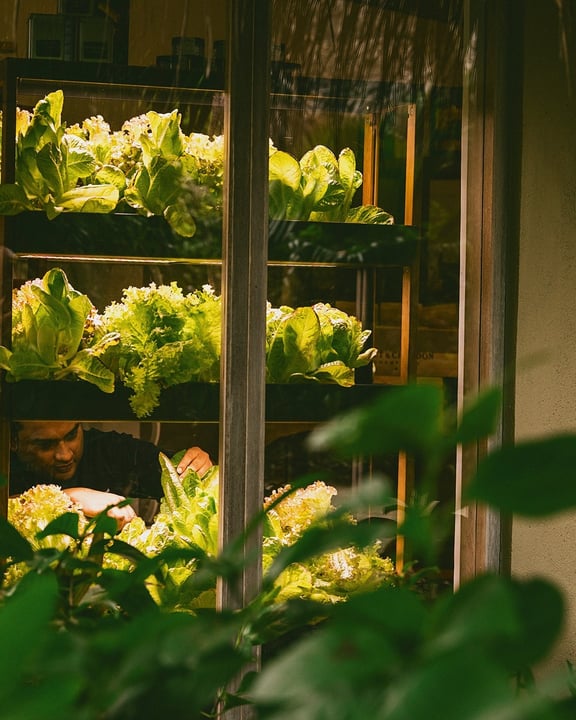 Foto von Baros Maldives vom 13. Juli 2026. Könnte ein Bild von Blumentopf, Blumenkasten und Text sein.