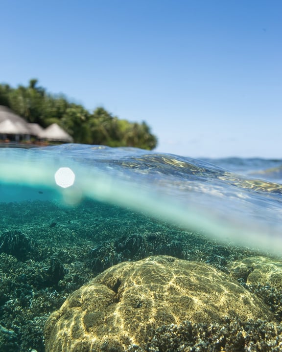 Photo by Baros Maldives on August 05, 2026. May be an image of water and text.
