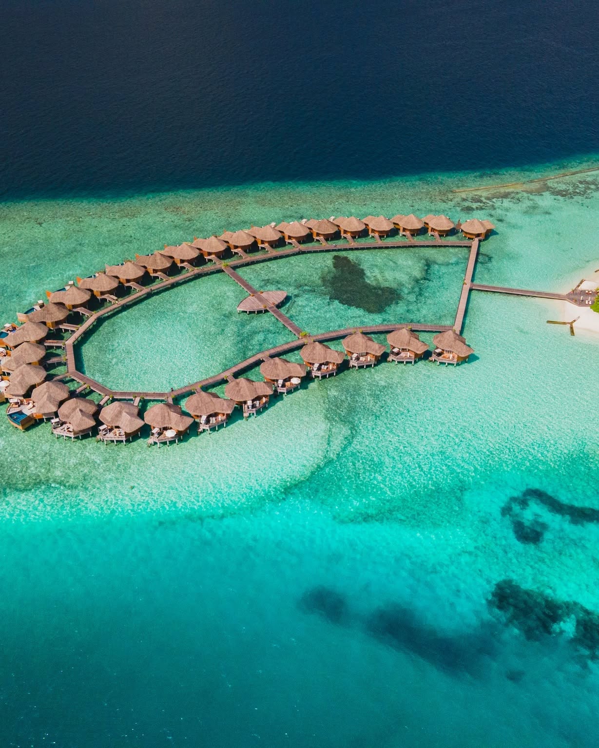 Foto von Baros Maldives vom 29. August 2026. Könnte ein Bild von ‎Schwimmen, Wasserflugzeug, Wasser und ‎Text sein, auf dem „‎س‎“‎‎ steht.