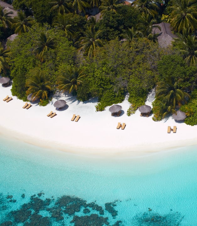 Not long ago, Baros was an uninhabited wilderness of coconut palms and tropical undergrowth.

That natural wildness hasn’t been forgotten. For more than 50 years, we have worked hard to honour it.

Be