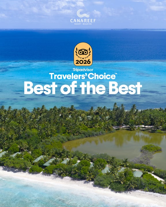 🏆 Moins de 1 % des établissements dans le monde obtiennent cette distinction.
Nous venons de l'obtenir. Pour la toute première fois.

#Canareef Resort Maldives – fier lauréat du @tripadvisor 𝙏𝙧𝙖𝙫𝙚𝙡𝙚𝙧𝙨' 𝘾𝙝𝙤𝙞𝙘𝙚 𝘽𝙚𝙨𝙩 𝙤𝙛 𝙩𝙝