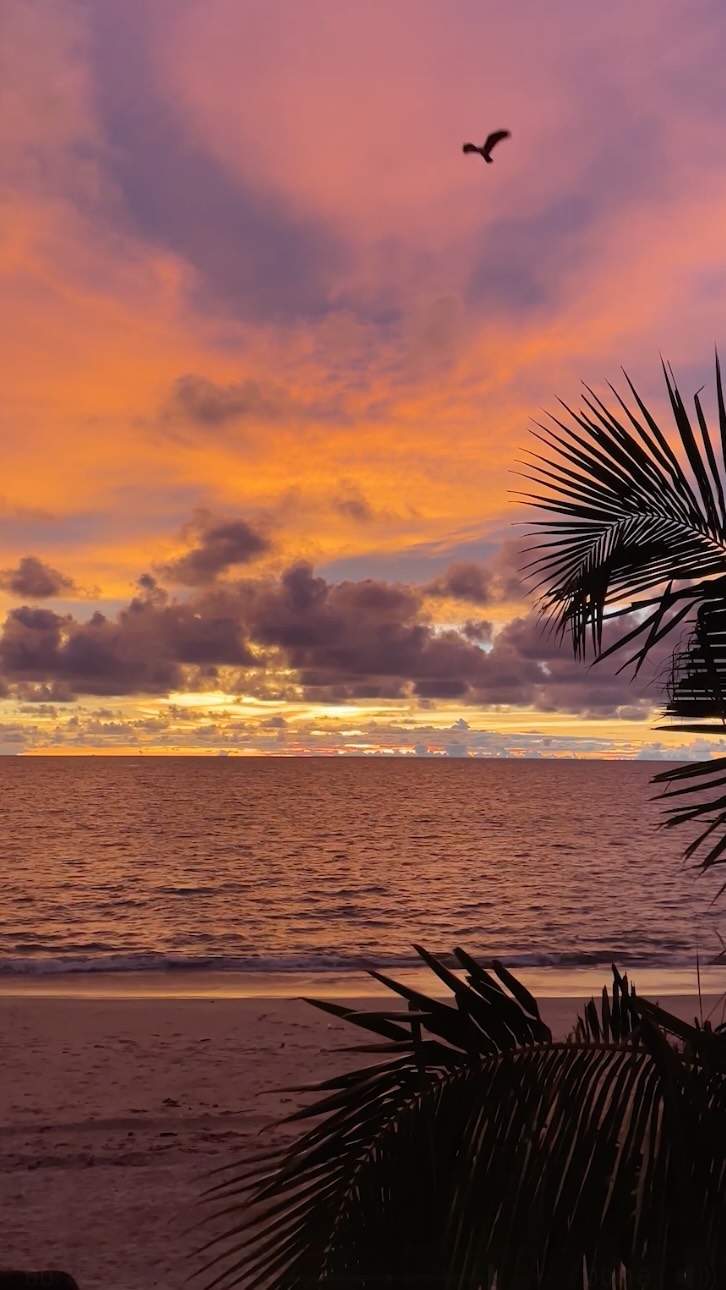 Die Sonne geht unter, und das Wasser bietet seine bisher schönste Lichtshow. Sunset-Yoga mit der besten Aussicht im Haus.

#CentaraMirageLagoon #Centara #CentaraThePlaceToBe #ExploreCentara #Maldives