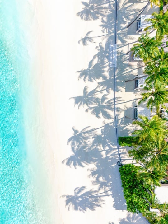 Photo by Cheval Blanc Randheli in Cheval Blanc Randheli. May be an image of ocean, beach, palm trees and text.