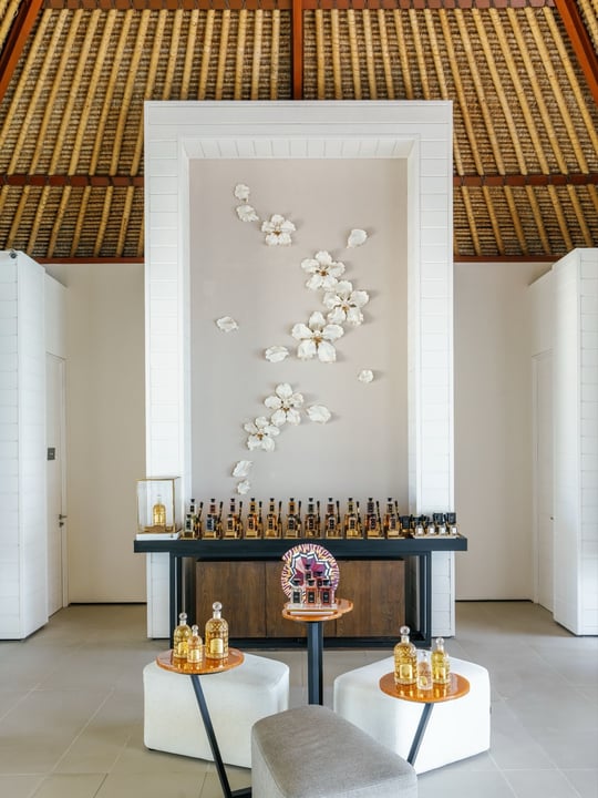 The Art of Excellence

Crafted exclusively for Randheli by @guerlain, each beauty treatment at the Cheval Blanc Spa unveils an unprecedented sensorial journey rooted in innovation, precision and care.