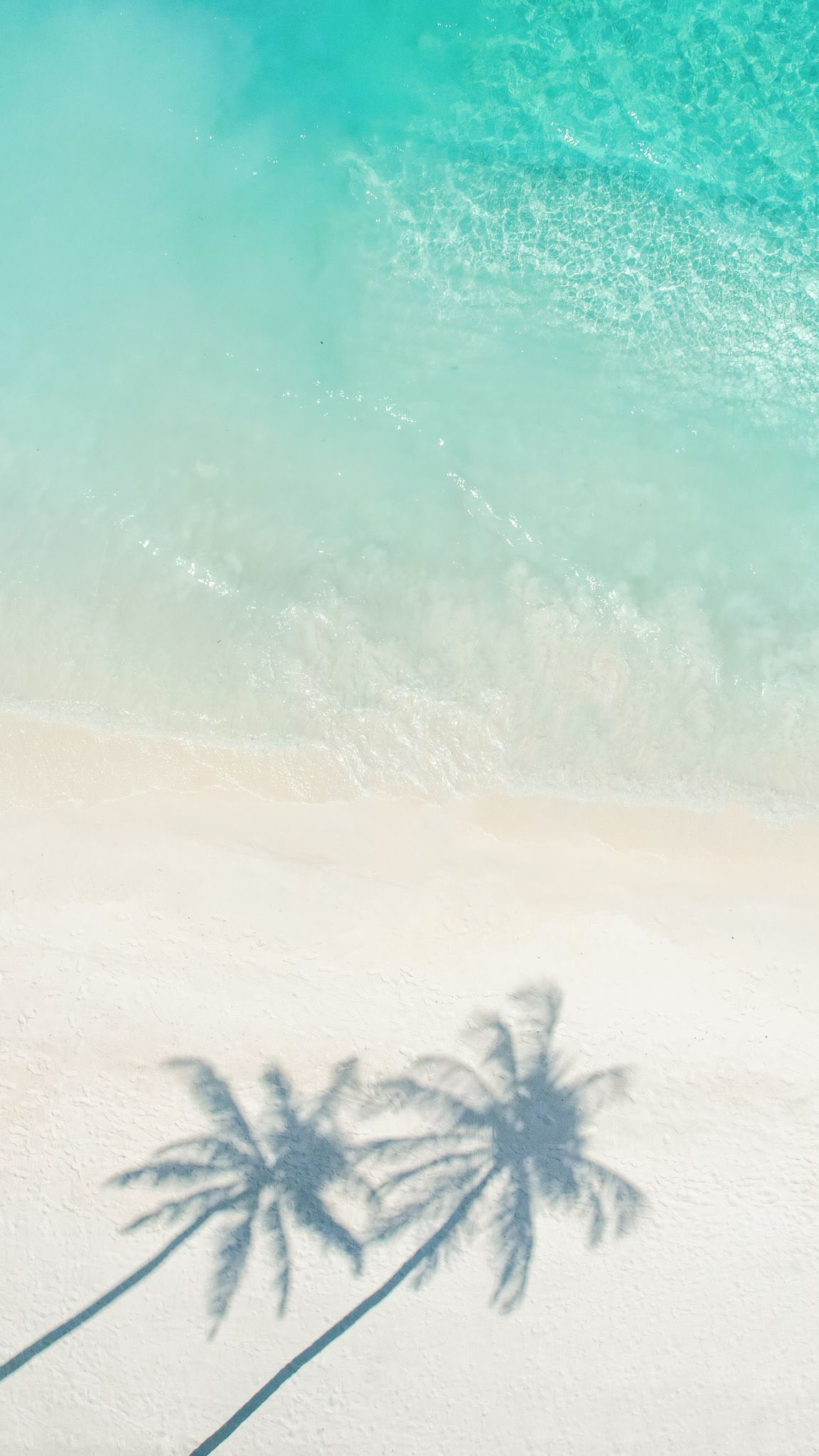 La vie insulaire, réinventée

Empreinte de merveilles tropicales et d'élégance architecturale, notre Maison maldivienne est un paysage onirique éthéré, poétique dans chaque détail et envoûtant dans son âme.

#ChevalBlancRandh