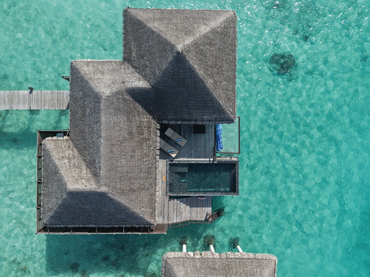 Die Escape Water Villas liegen über dem Ozean und öffnen sich zu einem privaten Pool & einer Terrasse im Coco Bodu Hithi Maldives