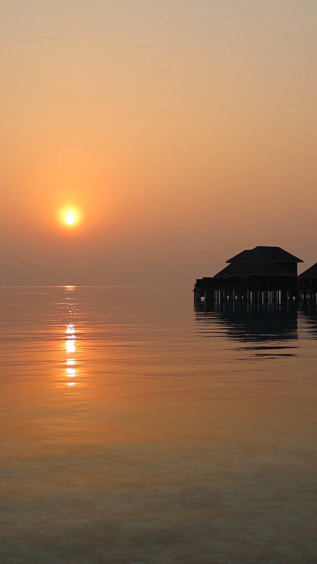 Golden light softly awakens the silhouettes at Coco Bodu Hithi, as a new perfect day gently rises over the horizon.

#CocoCollection #CocoCollectionMaldives #CocoBoduHithi #Maldives #Island #Resort