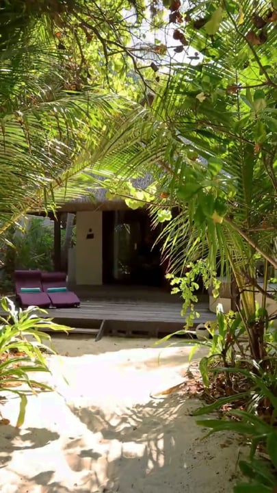 Großzügiges Wohnen, mühelosen Strandzugang und jeden Moment ganz für sich.

#CocoCollection #CocoCollectionMaldives #CocoBoduHithi #Maldives #Island #Resort