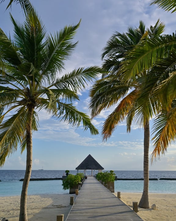 Foto von Coco Bodu Hithi vom 14. Juli 2026. Könnte ein Bild von Strand, Wasser, Palmen und Text sein.