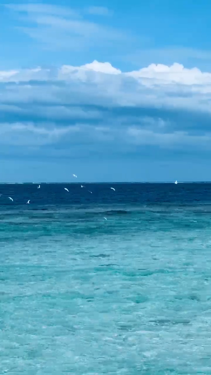 Pura grazia sull'infinito blu, in perfetta armonia con il paradiso incontaminato del resort sull'isola di Coco Bodu Hithi

#CocoBoduHithi #CocoCollection