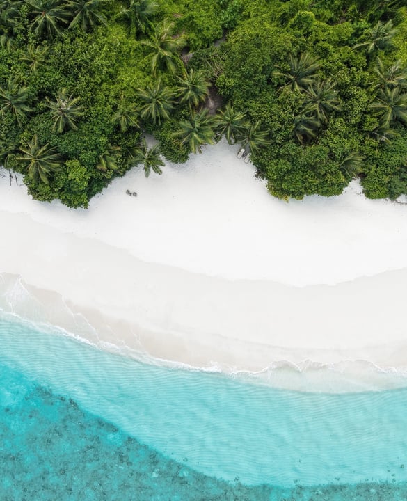 Photo by Coco Palm Dhuni Kolhu on March 30, 2026. May be an image of beach, ocean and text.