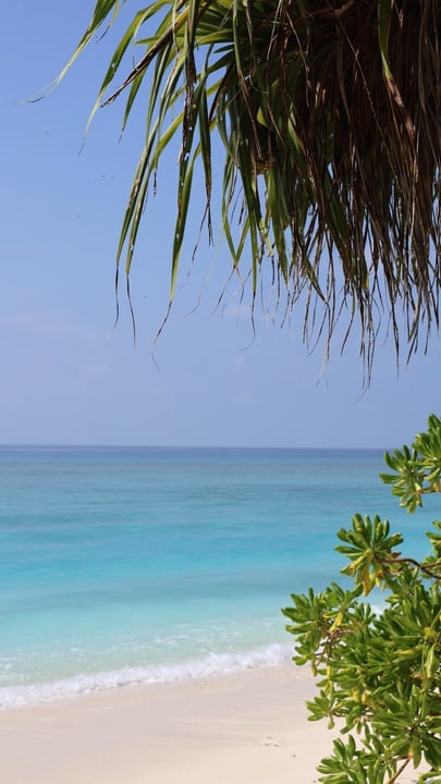Ready to switch off?  Step into Coco Palm Dhuni Kolhu, and feel the warmth, soak in the beauty, and let the island take over.

#CocoCollection #CocoCollectionMaldives #CocoPalmDhuniKolhu #Maldives #Is