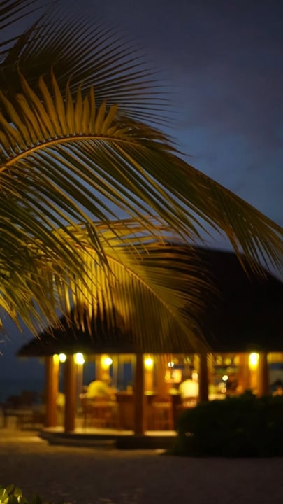 Join us for unforgettable Maldivian evenings, where fresh cocktails and gentle rhythms come together simple, shared, and quietly special.

#CocoCollection #CocoCollectionMaldives #CocoPalmDhuniKolhu #