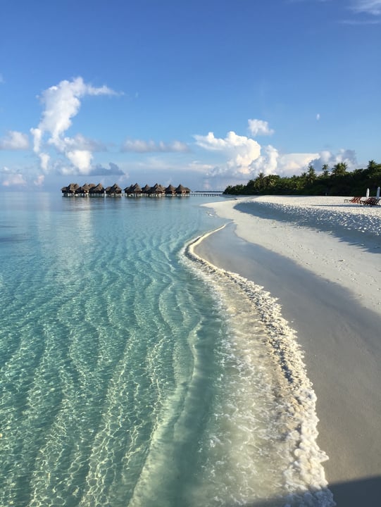 Foto von Amazing Maldives in Maldives mit @cocopalmdhunikolhu. Könnte ein Bild von einer Wasserfläche, Strand und Text sein.