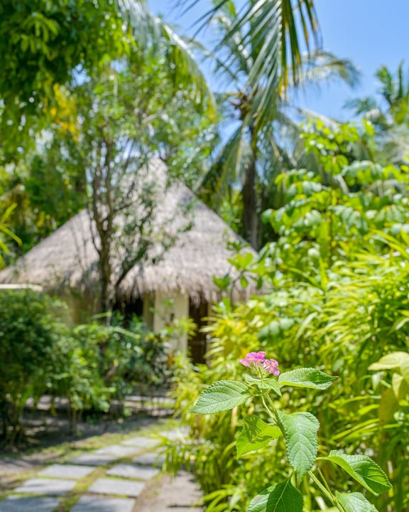 Photo by Coco Palm Dhuni Kolhu on August 10, 2026. May be an image of outdoors, palm trees and text.