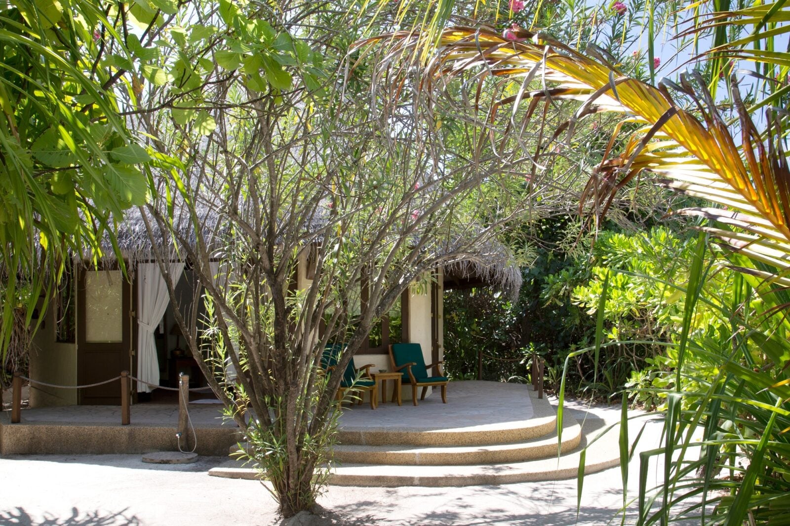 Terrasse einer Beach Villa mit gepolsterten Holzstühlen, umgeben von dichtem Inselgrün.