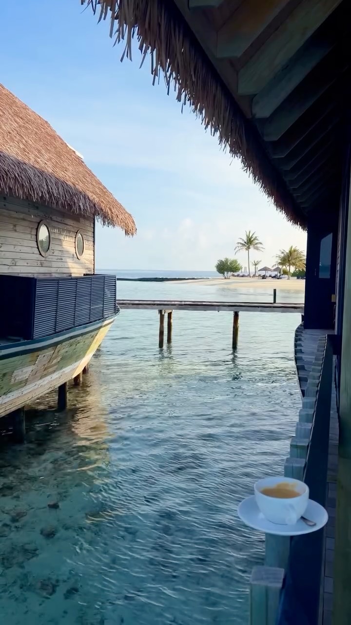 Just a handful of villas, the ocean and almost nothing else. @comococoaisland 

Sea turtles and nurse sharks drifting past your villa in the morning. A lagoon clear enough to swim across. Powder-soft 