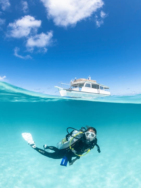 Foto von COMO Cocoa Island auf COMO Cocoa Island, Malediven. Könnte ein Bild von Schwimmen, Boot, Schnorchel, Neoprenanzug, Wasser und Text sein.