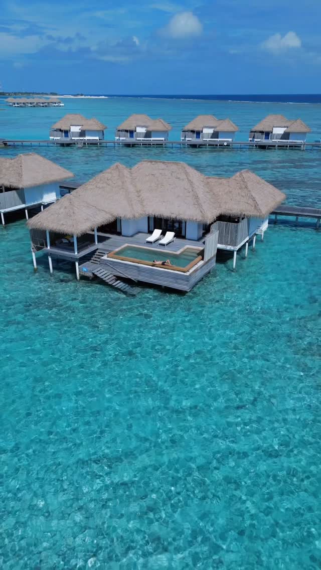 There are those who lie and those who tell the truth, but this is exactly where you want to be right now.

📍 @comomaalifushi - @comohotels 

-
#ComoHotels #ComoMaalifushi #Maldives #Maldive